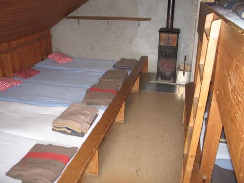 Fougere Visite 16