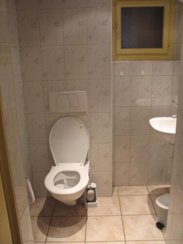 Fougere Visite 7